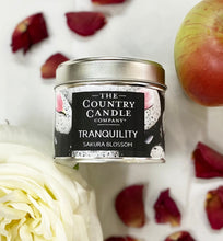 Load image into Gallery viewer, The Country Candle Bargain Box
