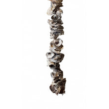 Load image into Gallery viewer, Extra Long Natural Oyster Shell Decorative Garland 150cm closeup
