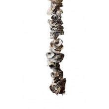 Load image into Gallery viewer, Extra Long Natural Oyster Shell Decorative Garland 150cm closeup