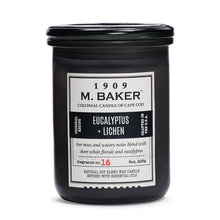 Load image into Gallery viewer, M Baker Colonial Candles of Cape Cod 8oz Eucalyptus &amp; Lichen Apothecary Candle
