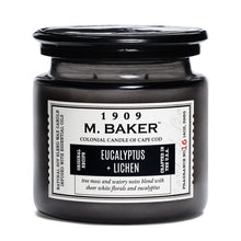 Load image into Gallery viewer, M Baker Colonial Candles of Cape Cod Large 14oz Eucalyptus &amp; Lichen Apothecary Candle
