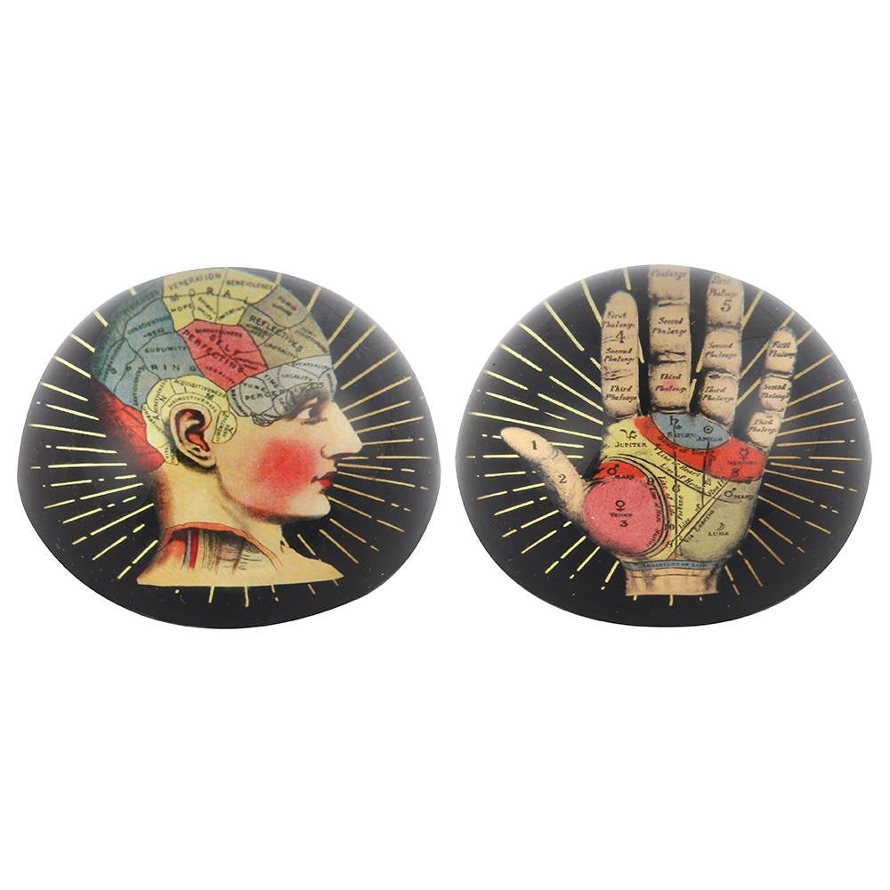 Phrenology and Palmistry Tattoo Design Glass Paper Weights Pair by Temerity Jones