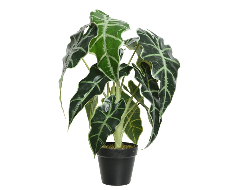 Tropical Foliage Faux Alocasia Potted Plant